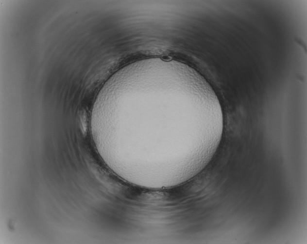X0000103420069200809261717
