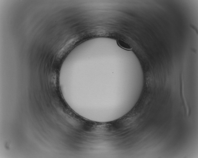 X0000103420072200809261717