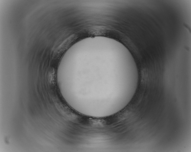 X0000103420073200809261717