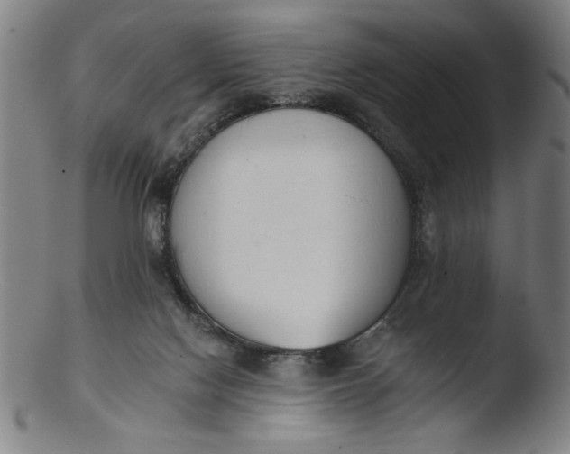 X0000103420074200809261717