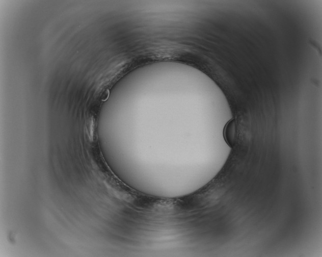 X0000103420076200809261717