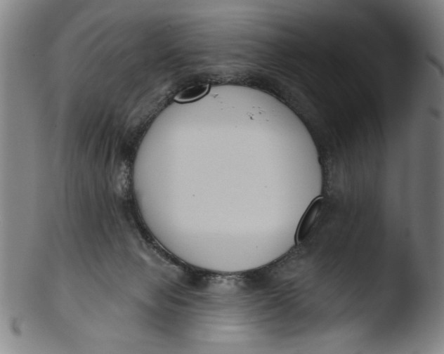 X0000103420077200809261717