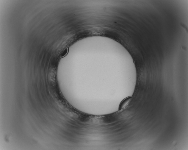 X0000103420078200809261717