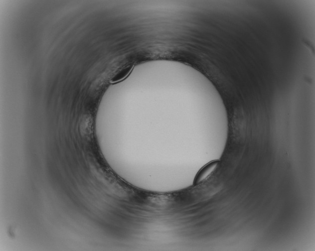 X0000103420079200809261717