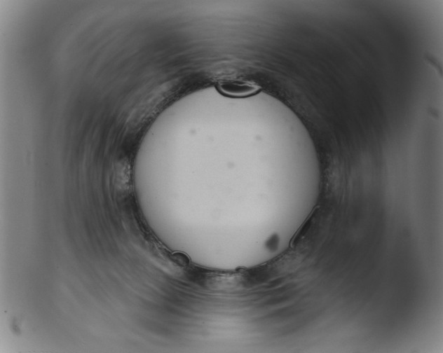 X0000103420081200809261717