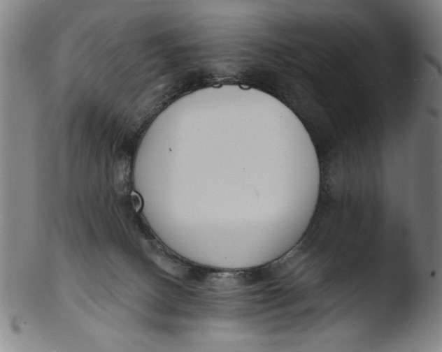 X0000103420082200809261717