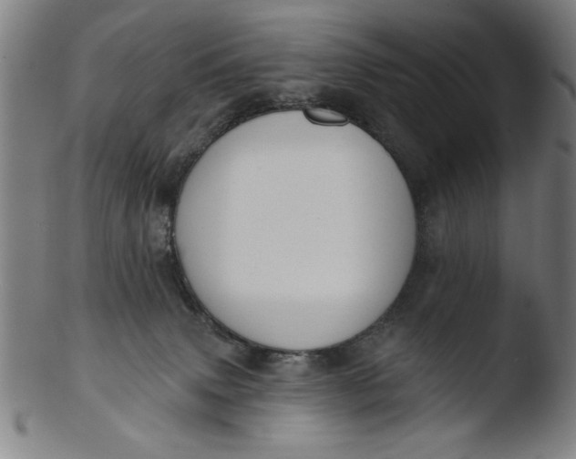 X0000103420083200809261717