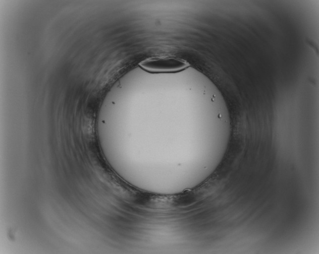 X0000103420084200809261717
