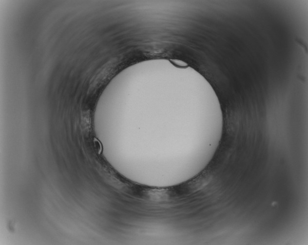 X0000103420085200809261717