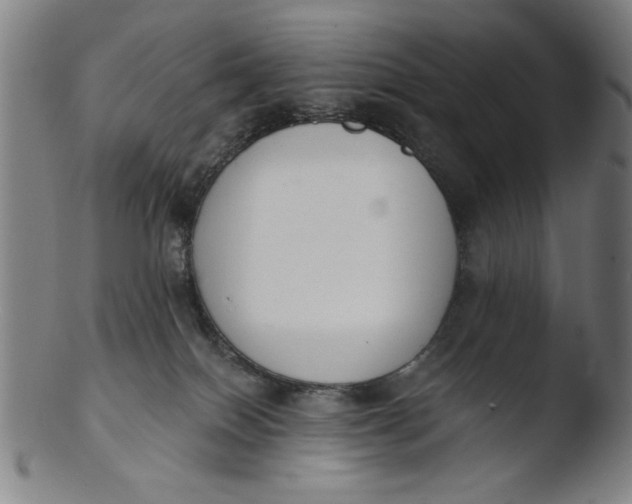 X0000103420086200809261717