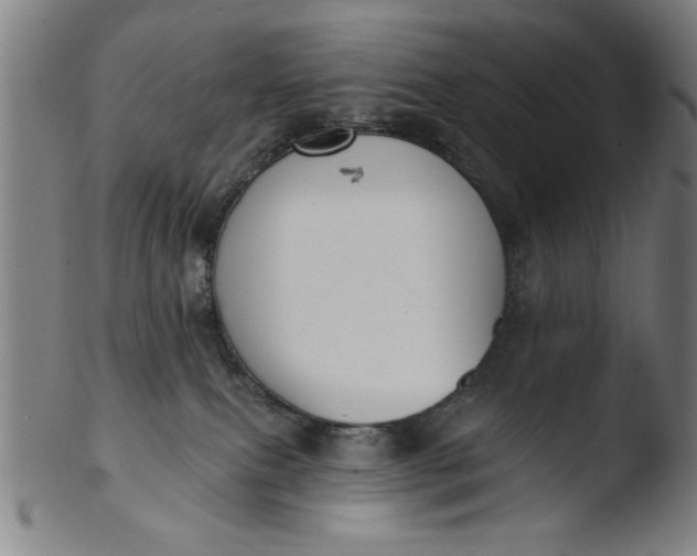 X0000103420087200809261717