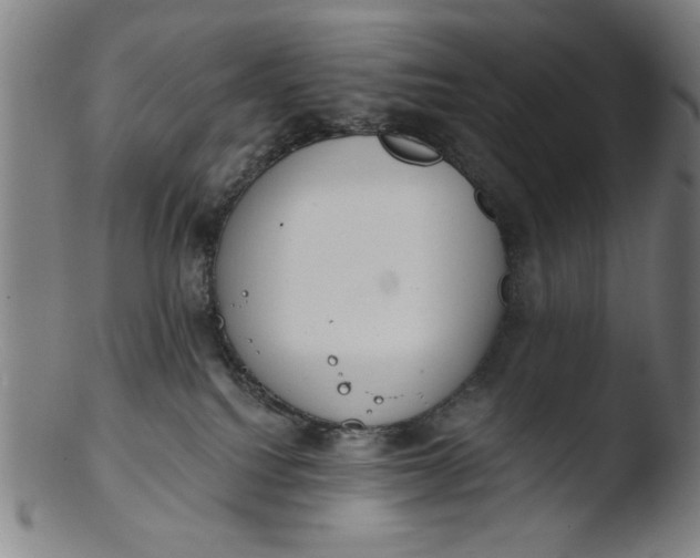 X0000103420088200809261717