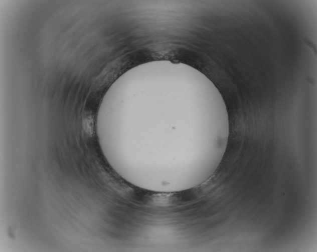 X0000103420090200809261717