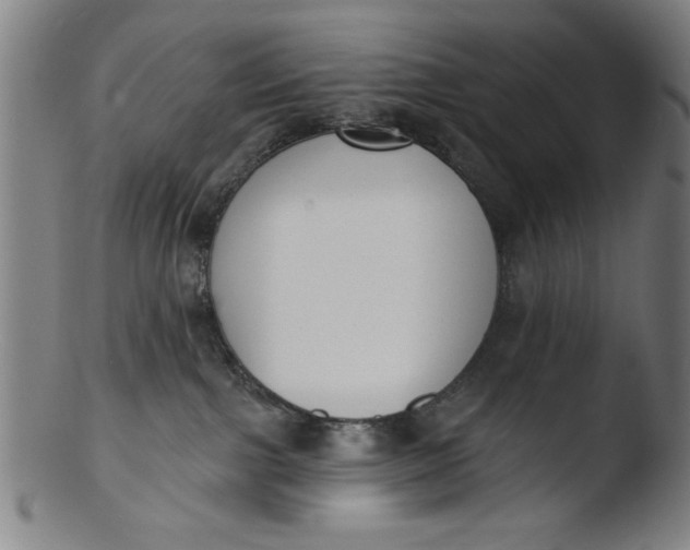 X0000103420091200809261717