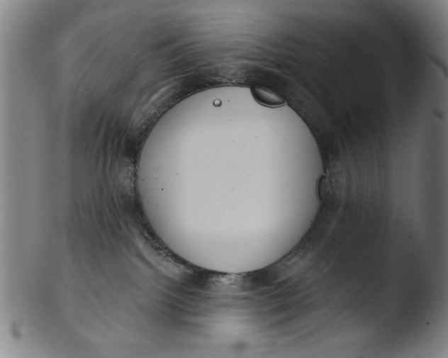 X0000103420092200809261717