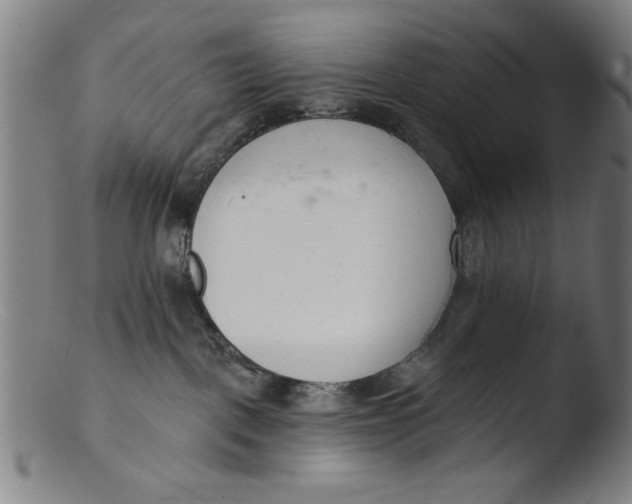 X0000103420093200809261717