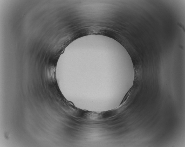X0000103420094200809261717