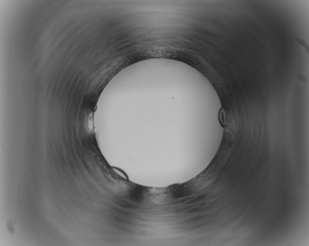X0000103420095200809261717