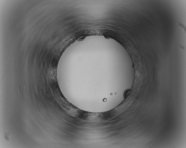 X0000103420096200809261717