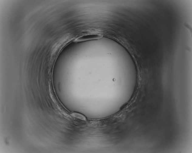X0000103420097200809261716