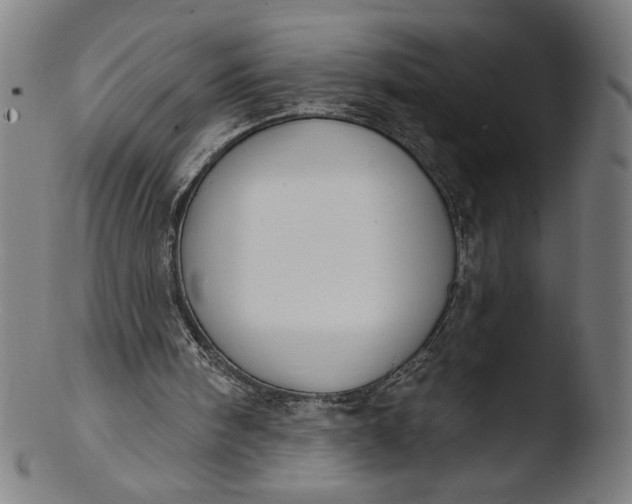 X0000103420098200809261716