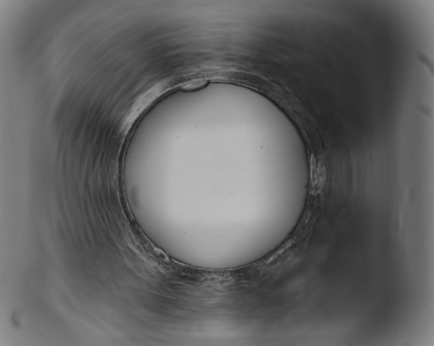 X0000103420099200809261716