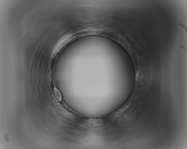 X0000103420101200809261716
