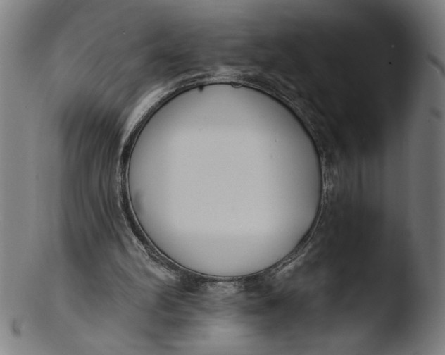 X0000103420102200809261716