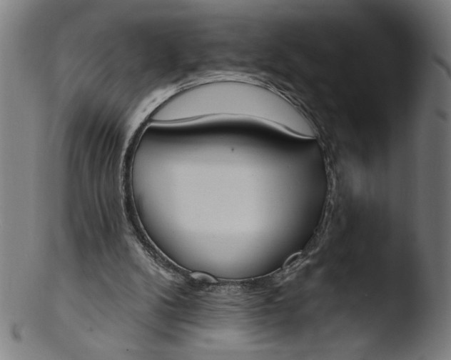 X0000103420104200809261716