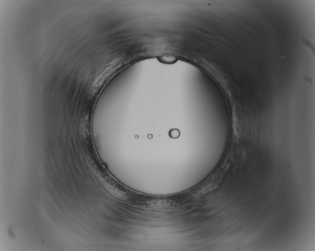 X0000103420105200809261716