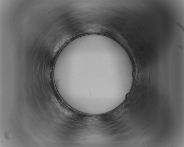 X0000103420106200809261716