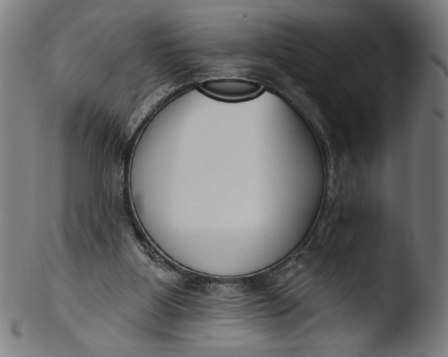 X0000103420107200809261716