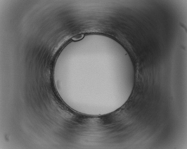 X0000103420108200809261716