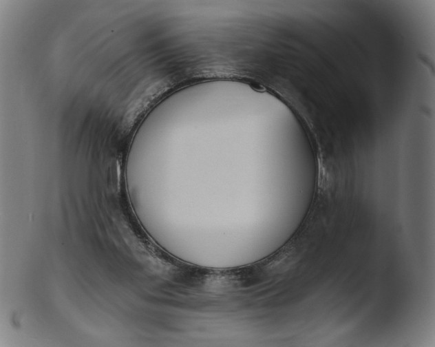 X0000103420109200809261716