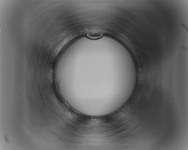 X0000103420111200809261716