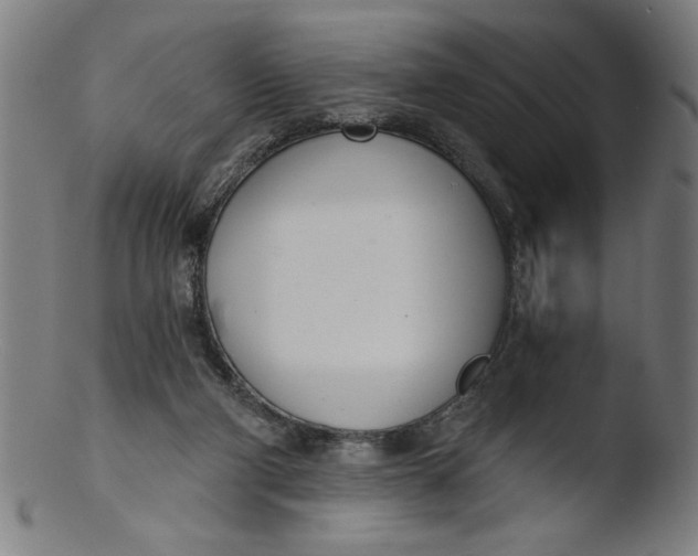 X0000103420114200809261716