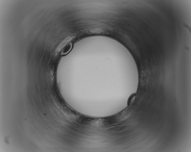X0000103420116200809261716
