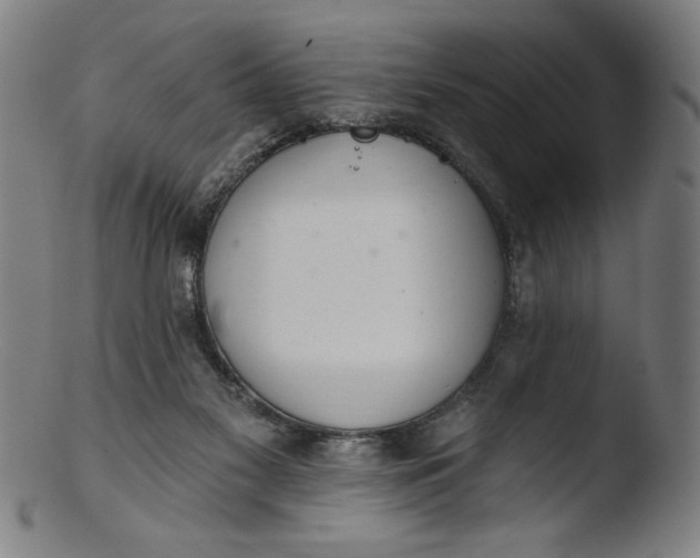 X0000103420117200809261716