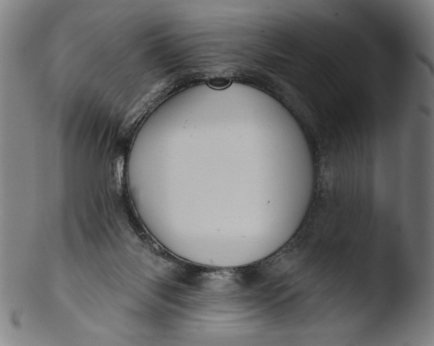 X0000103420118200809261716