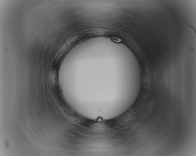 X0000103420119200809261716