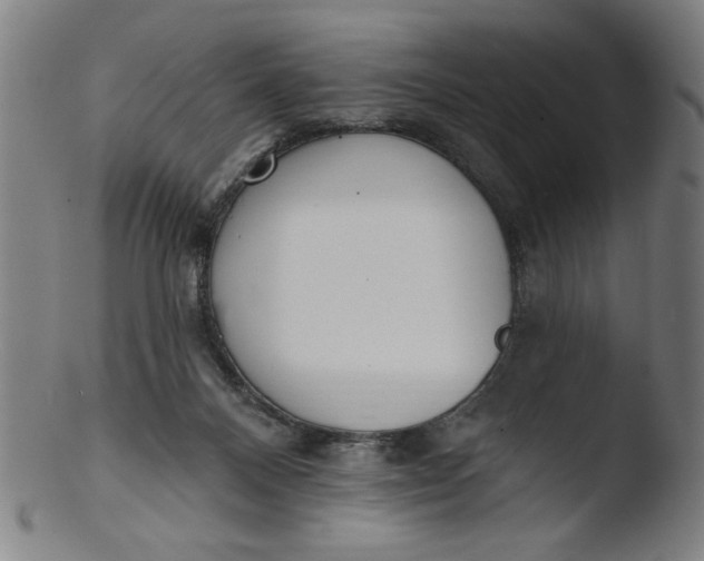 X0000103420120200809261716