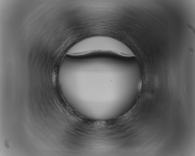 X0000103420124200809261716