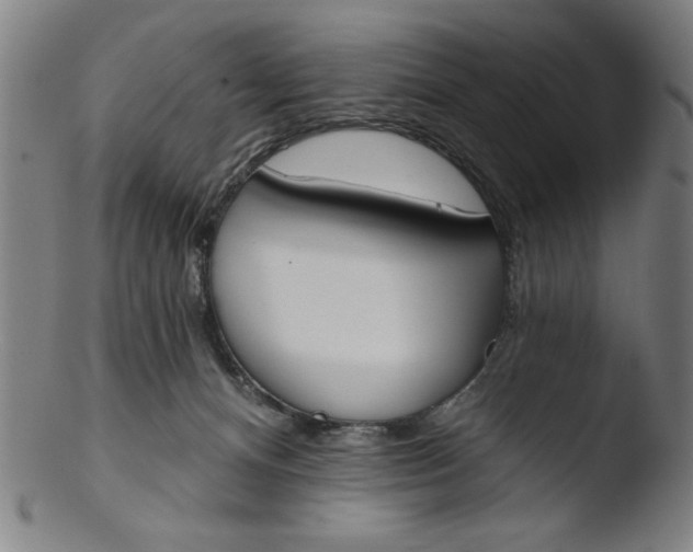 X0000103420128200809261716