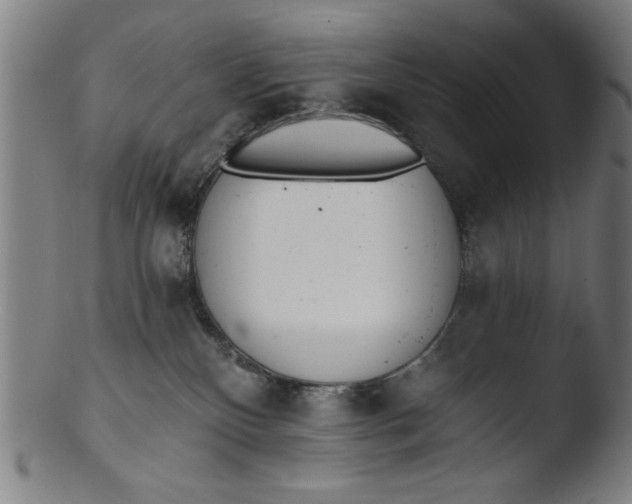 X0000103420136200809261716