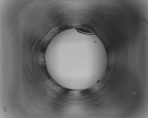 X0000103420140200809261716