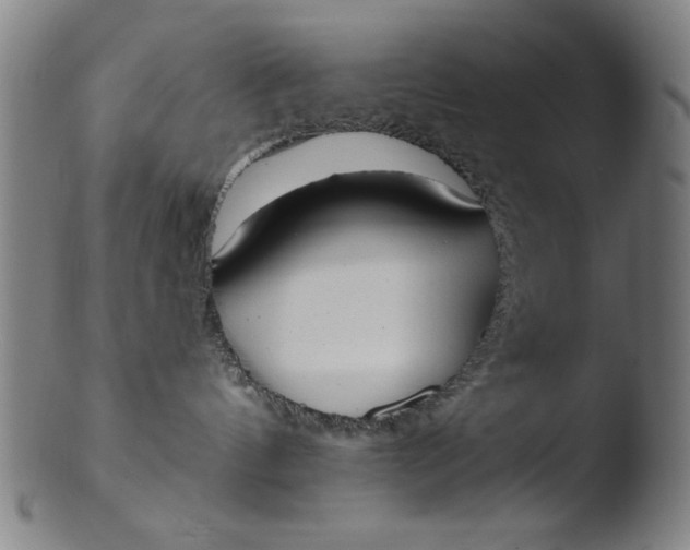 X0000103420144200809261716