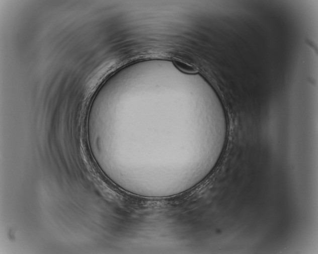 X0000103420145200809261715