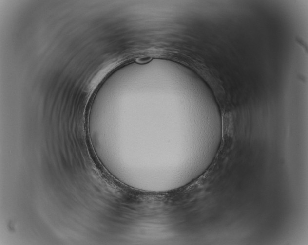 X0000103420147200809261715