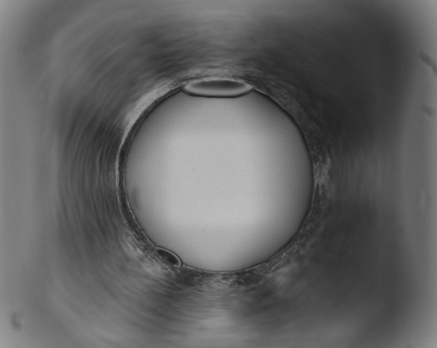 X0000103420148200809261715