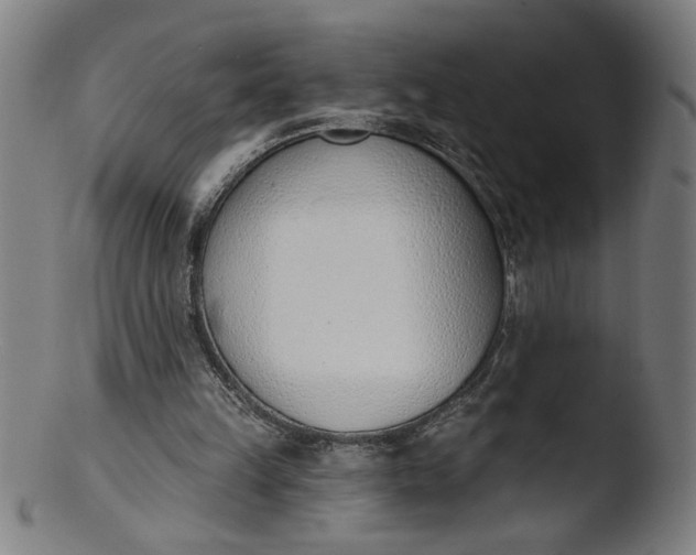X0000103420149200809261715